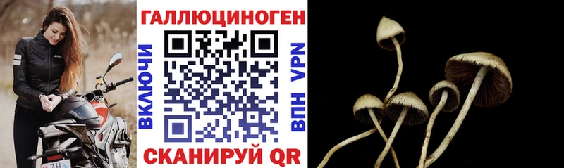 omg ССЫЛКА  Аша  Псилоцибиновые грибы Magic Shrooms 
